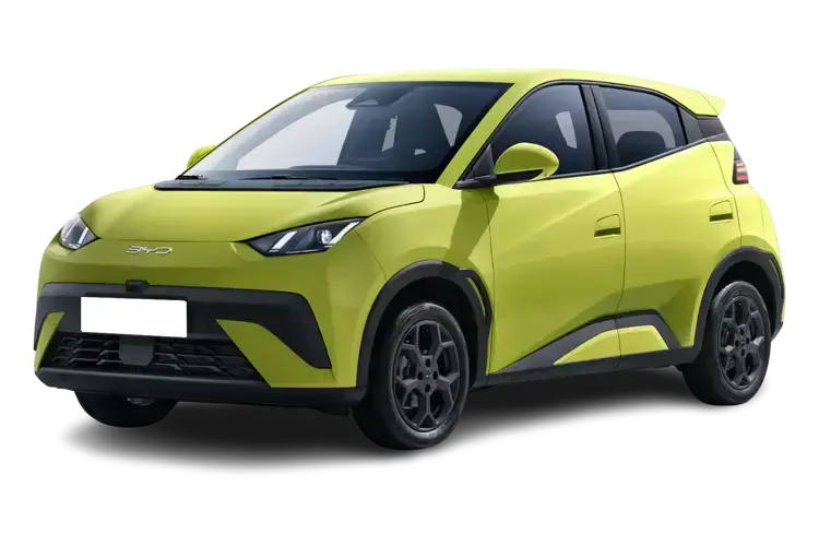 DOLPHIN SURF